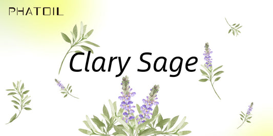 Clary Sage Essential Oil