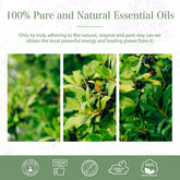 100% Camphor Essential Oil-Certificate-PHATOIL