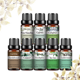 Woody Essential Oil Collection | 100% Pure and Natural