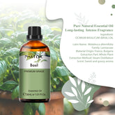 PHATOIL Basil Essential Oils for Diffusers Humidifier 100% Pure Natural Aromatherapy Massage Bath Sleep Relaxation 30ml/1.01 fl.Oz