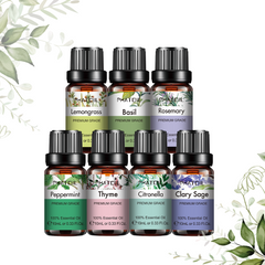 Herbal Essential Oil Collection | 100% Pure and Natural
