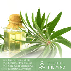 PHATOIL 100% Pure Cajeput Essential Oils for Diffusers, Skin, Aromatherapy, Massage, 30ml