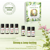 Fragrance Oil Set 20-Piece Gift Box