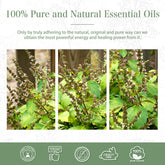 100% Patchouli Essential Oil-Brand Concept-PHATOIL