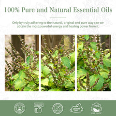 100% Patchouli Essential Oil-Brand Concept-PHATOIL
