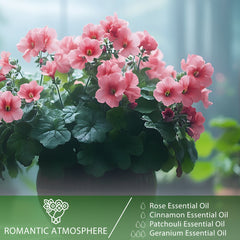 PHATOIL 30ml/1.01 fl.Oz Geranium Essential Oils for Diffusers Humidifier 100% Pure Natural Aromatherapy Massage Bath Sleep Relaxation