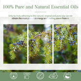 100% Juniper Berry Essential Oil-Certificate-PHATOIL