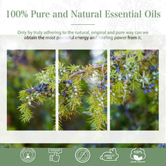 100% Juniper Berry Essential Oil-Certificate-PHATOIL