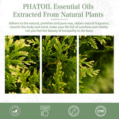 PHATOIL Cypress Essential Oil 30 mL (1 oz) 100% Pure, Undiluted, Therapeutic Grade