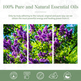 100% Clove Essential Oil-Certificate-PHATOIL
