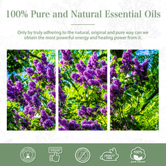 100% Clove Essential Oil-Certificate-PHATOIL