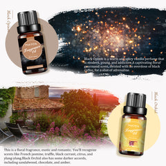 Romantic Moment Fragrance Oil Set-Introduction-PHATOIL