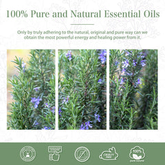 100% Rosemary Essential Oil-Certificate-PHATOIL