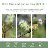 100% Cajeput Essential Oil-Certificate-PHATOIL