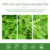 100% Cypress Essential Oil-Certificate-PHATOIL