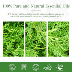 100% Cypress Essential Oil-Certificate-PHATOIL