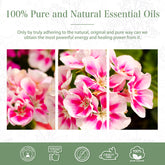 100% Geranium Essential Oil-Certificate-PHATOIL