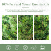 100% Pine Needles Essential Oil-Certificate-PHATOIL