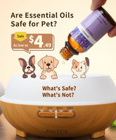 Essential Oils Safe for Pets