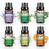 Premium Essential Oil Set-6×0.33Oz-Package-PHATOIL