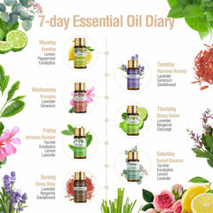 PHATOIL 12pcs Essential Oils Set For Diffusers, Aromatherapy Oils for Humidifiers, Aromatherapy, Candle Making Scents, Home Products, Peppermint, Tea Tree, Lavender, Eucalyptus, Lemongrass (5mL)