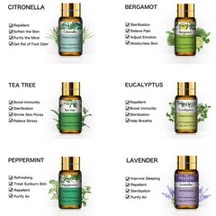 PHATOIL 12pcs Essential Oils Set For Diffusers, Aromatherapy Oils for Humidifiers, Aromatherapy, Candle Making Scents, Home Products, Peppermint, Tea Tree, Lavender, Eucalyptus, Lemongrass (5mL)