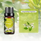 Orange Blossom Fragrance Oil-Fragrance Description-PHATOIL