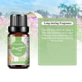 Chance Eau Fraiche Fragrance Oil-Fragrance Description-PHATOIL