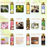 PHATOIL 9Pcs Fragrance Oils Set for Humidifier, Aromatherapy Oils for Car Diffuser, Candle Making (10Ml)