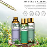 PHATOIL 9PCS Essential Oils Set, 100% Pure for Diffusers, Home Care, Candle Making Scents, Fragrance, Aromatherapy, Humidifiers, Gifts (9 x 10mL)