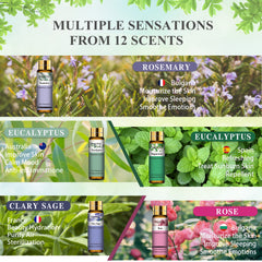PHATOIL 9PCS Essential Oils Set, 100% Pure for Diffusers, Home Care, Candle Making Scents, Fragrance, Aromatherapy, Humidifiers, Gifts (9 x 10mL)