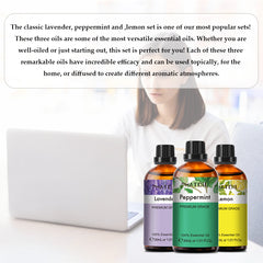Classic Blends Collection Essential Oils Set-3×1.01Oz-Package-PHATOIL