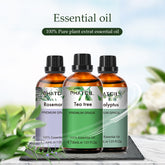 Boost Immunity Collection Essential Oils Set-3×0.33Oz-Package-PHATOIL