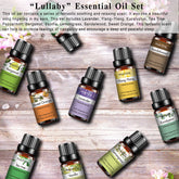 Premium Essential Oils Set-10×0.33Oz-Package-PHATOIL