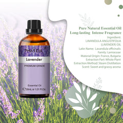 Lavender Essential Oil 30ML/ 1.01FL.OZ, PHATOIL Pure Aromatherapy Lavender Oil for Massage, Diffuser, Soap Making, Long Lasting Scents