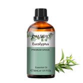 PHATOIL 30ml Eucalyptus Essential Oils for Humidifier 100% Pure Eucalyptus Oil for Massage Relaxation