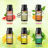 Sweet Recipes Essential Oil Set-6×0.33Oz-Package-PHATOIL