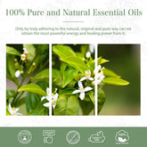 100% Neroli Essential Oil-Certificate-PHATOIL