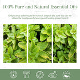 100% Oregano Essential Oil-Certificate-PHATOIL