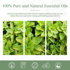 100% Oregano Essential Oil-Certificate-PHATOIL