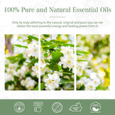 100% Jasmine Essential Oil-Certificate-PHATOIL
