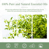 100% Thyme Essential Oil-Certificate-PHATOIL