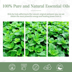 100% Spearmint Essential Oil-Certificate-PHATOIL