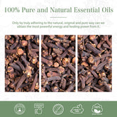 100% Clove Bud Essential Oil-Certificate-PHATOIL