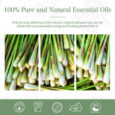 Citronella Essential Oil (Cymbopogon winterianus)