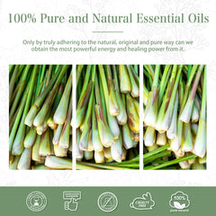 Citronella Essential Oil (Cymbopogon winterianus)