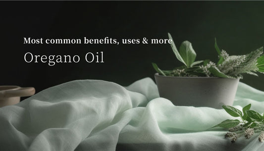 Oregano Oil: Most common benefits, uses & more