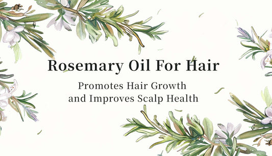 Rosemary Oil For Hair: Promotes Hair Growth and Improves Scalp Health