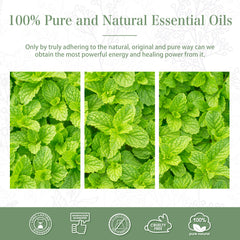 100% Peppermint Essential Oil-Certificate-PHATOIL