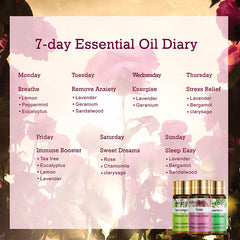 Diary Of Essential Oils Set-12×1.017Oz-Introduction-PHATOIL
